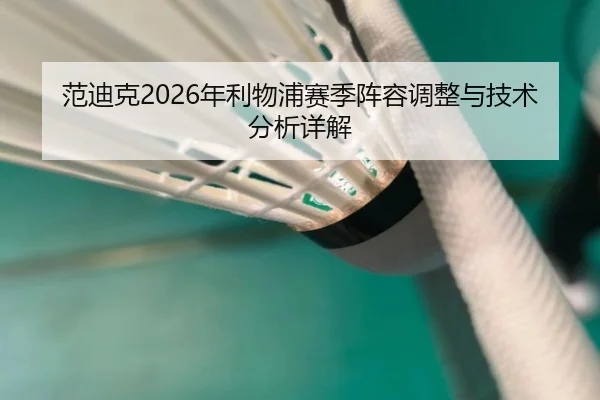 范迪克2026年利物浦赛季阵容调整与技术分析详解