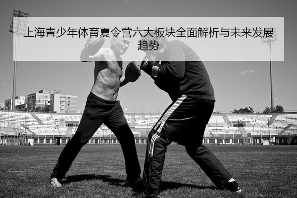shang-hai-qing-shao-nian-ti-yu-xia-ling-ying-liu-da-ban-kuai-quan-mian-jie-xi-yu-wei-lai-fa-zhan-qu-shi-2-625.jpg